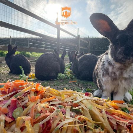 Hotel Ferme de la Rançonnière Crépon Esterno foto